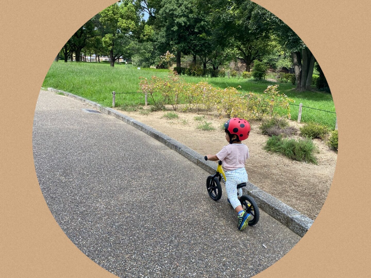 1歳半の男の子が黄色のスポーツモデルのストライダーを公園で乗っている。
季節は夏。
服は半袖の白に赤色のボーダー。
ズボンは白色に水色の雫模様。
てんとう虫のヘルメットを装着。
ストライダー乗り始め３ヶ月の頃。
